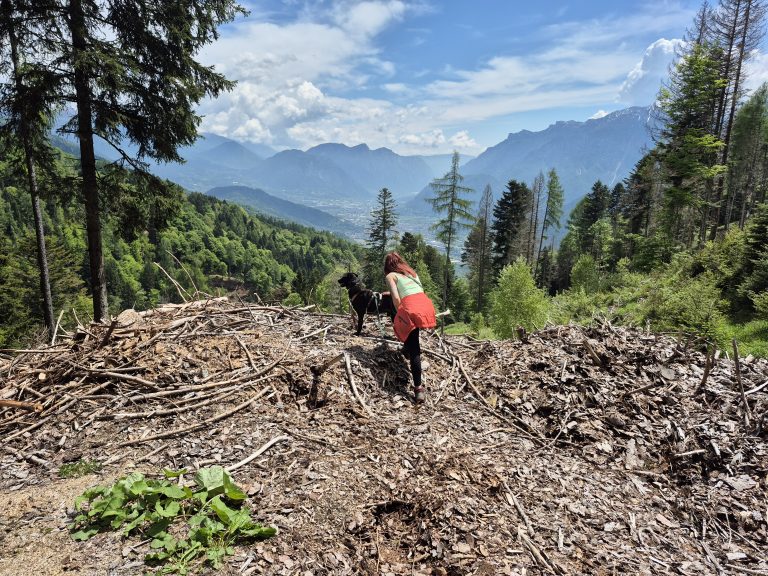 Ein Hund und eine Frau stehen allein vor Bergpanorame. Die Frau bückt sich zu dem Hund und streichelt ihn.