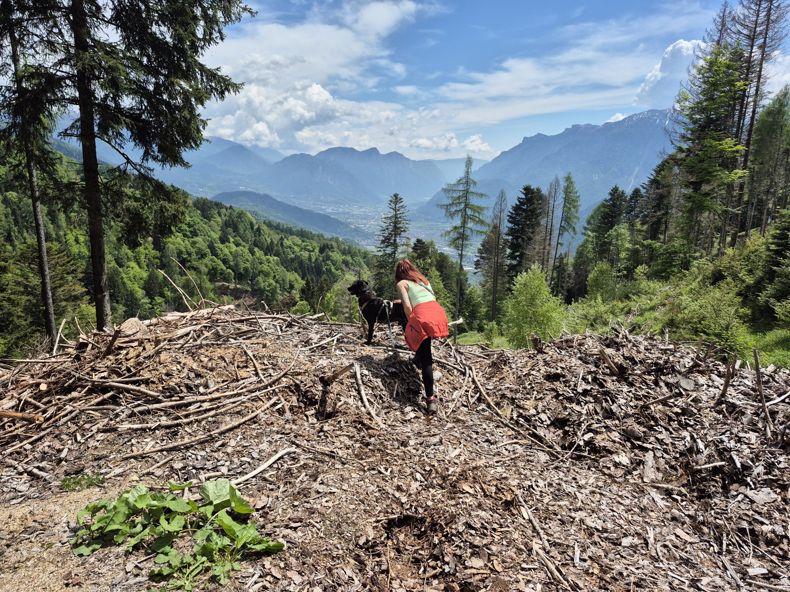 Ein Hund und eine Frau stehen allein vor Bergpanorame. Die Frau bückt sich zu dem Hund und streichelt ihn.