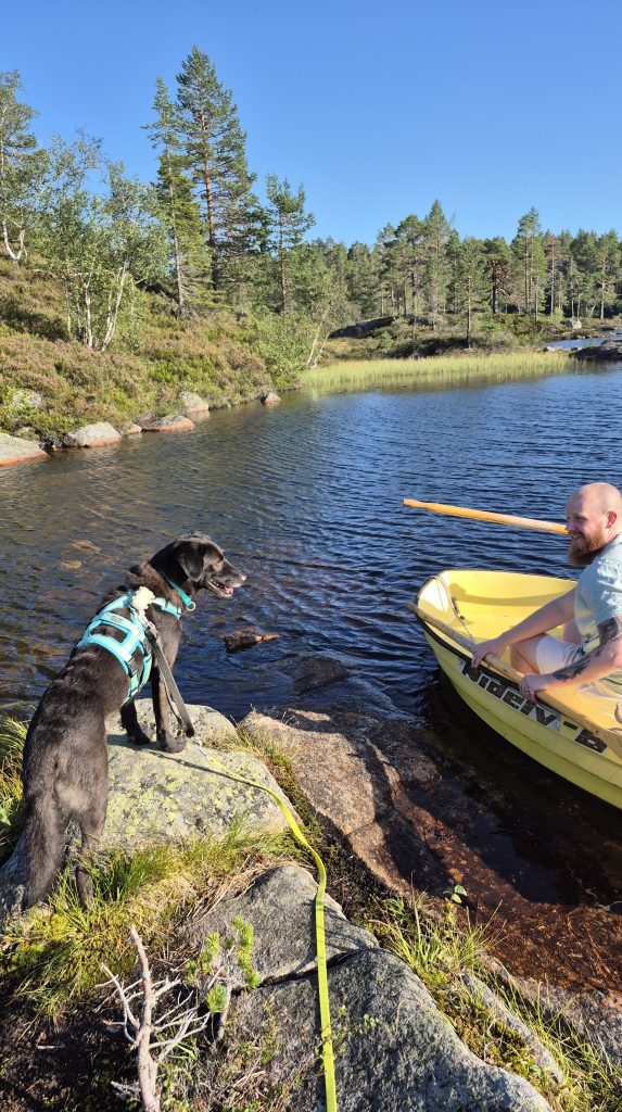 Foto von Tierschutzhund Alwin und seinem Halter. Alwin steht auf einem Felsen und der Halter sitzt in einem gelben Ruderboot. Im Hintergrund ist ein Bergsee.
