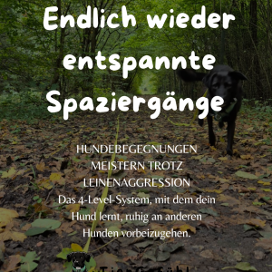 4-Level-System: Hundebegegnungen mit reaktivem Hund trainieren