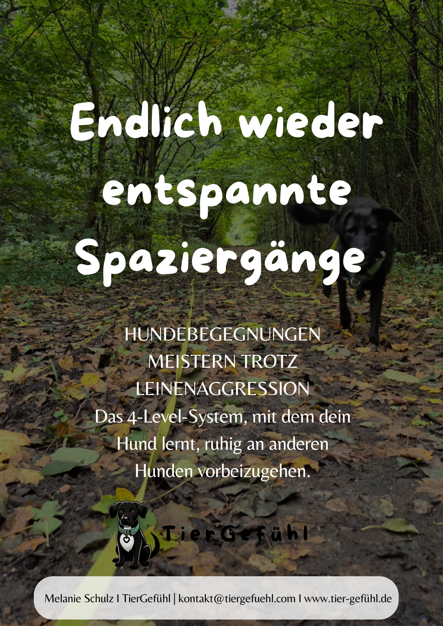 4-Level-System: Hundebegegnungen mit reaktivem Hund trainieren