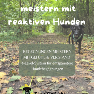 PDF-Guide: Hundebegegnungen mit reaktivem Hund trainieren