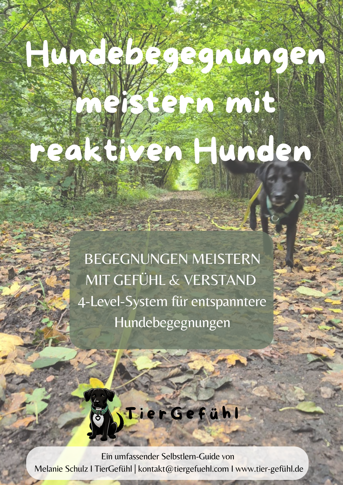 PDF-Guide: Hundebegegnungen mit reaktivem Hund trainieren