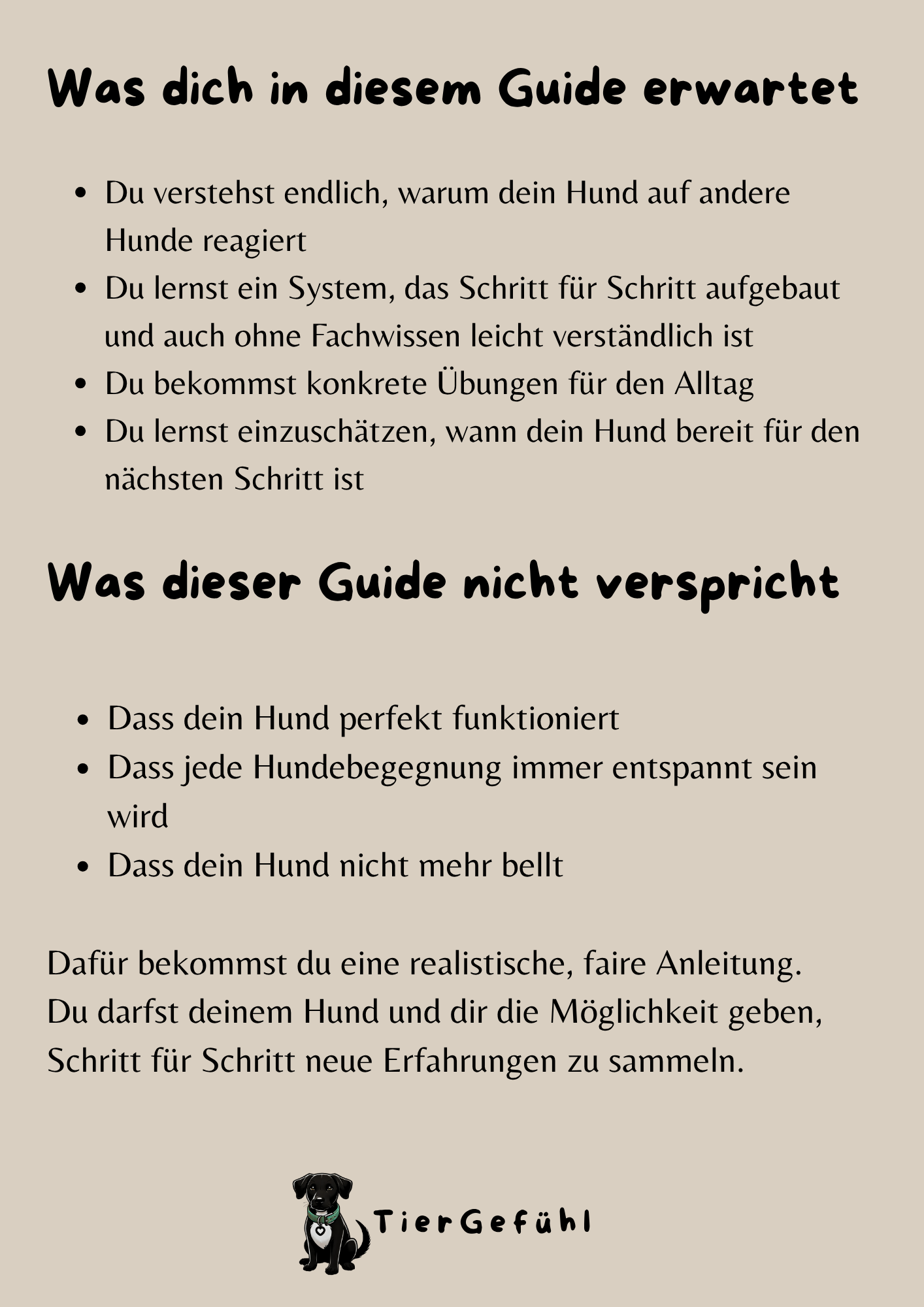 4-Level-System: Hundebegegnungen mit reaktivem Hund trainieren – Bild 6