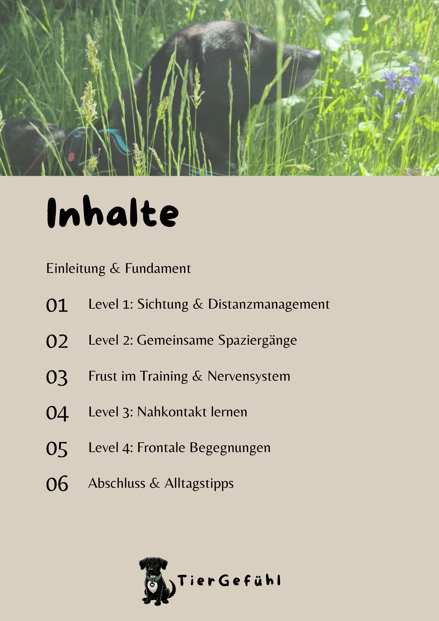 PDF-Guide: Hundebegegnungen mit reaktivem Hund trainieren – Bild 4