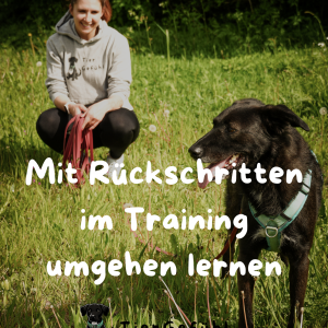 Mit R&uuml;ckschritten im Training umgehen lernen