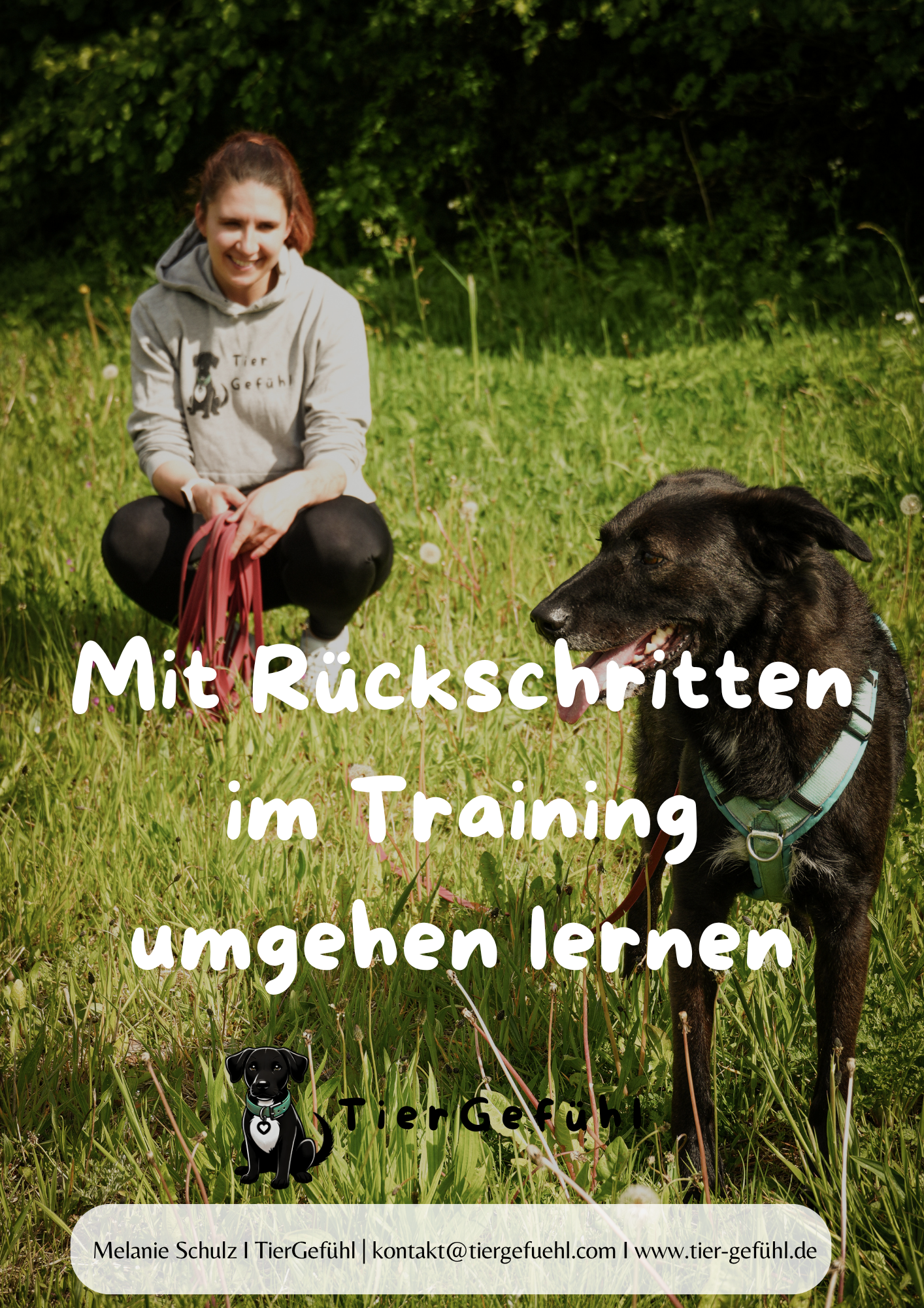 Mit Rückschritten im Training umgehen lernen