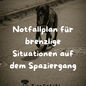 Notfallplan f&uuml;r brenzlige Hundebegegnungen