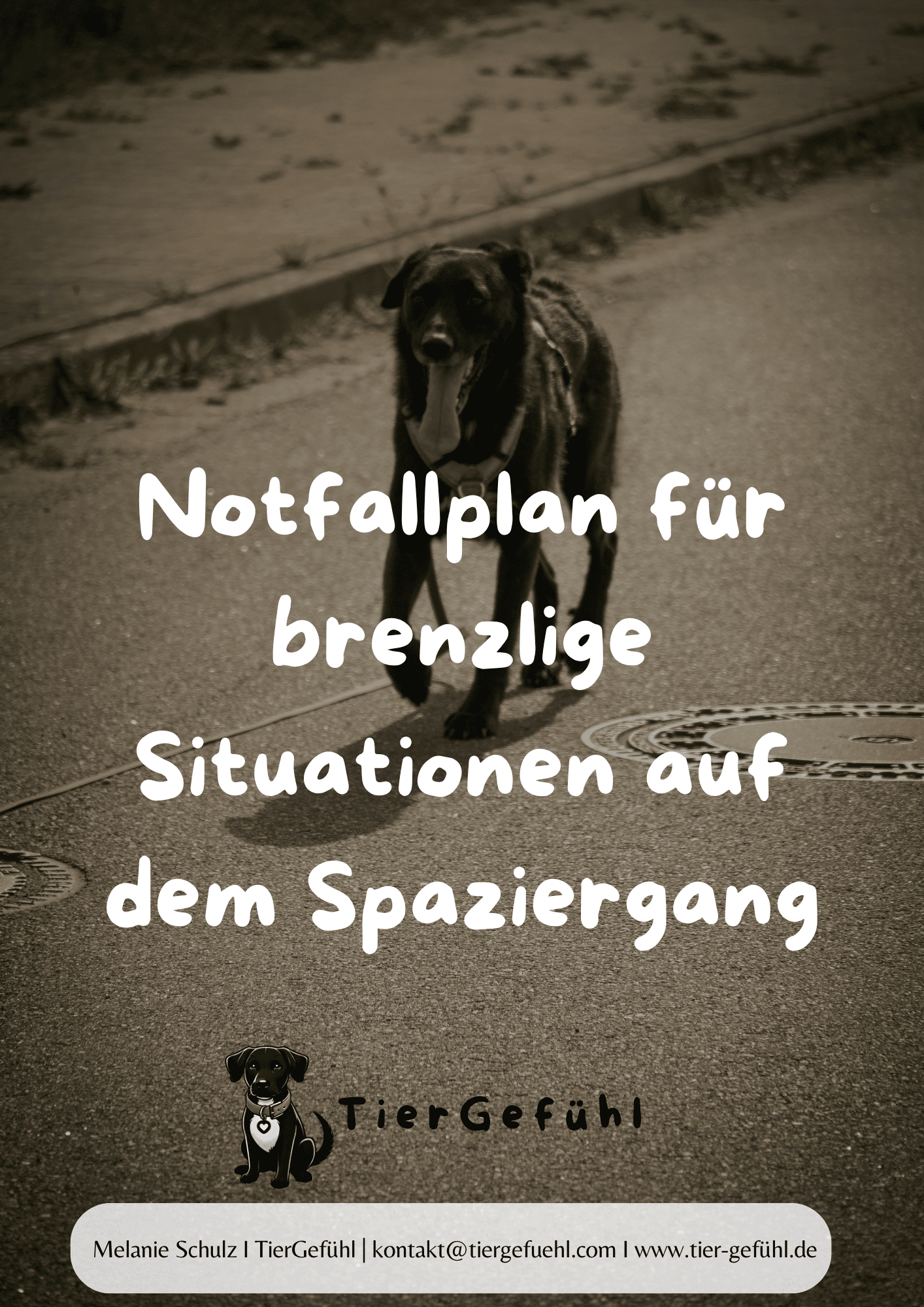 Notfallplan für brenzlige Hundebegegnungen