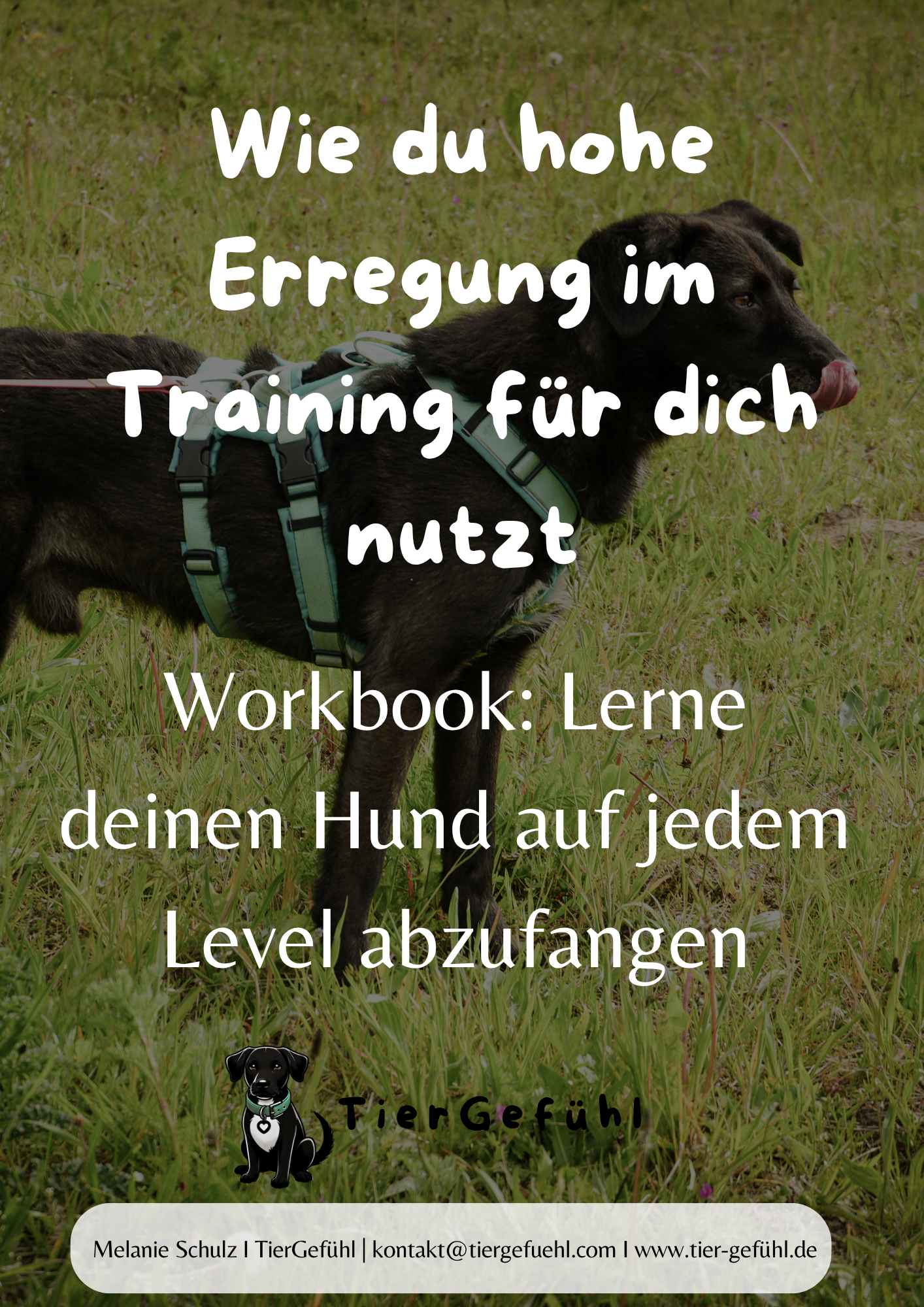 Workbook: Lerne mit hohen Erregungslagen deines Hundes zu arbeiten